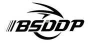 BSDDP